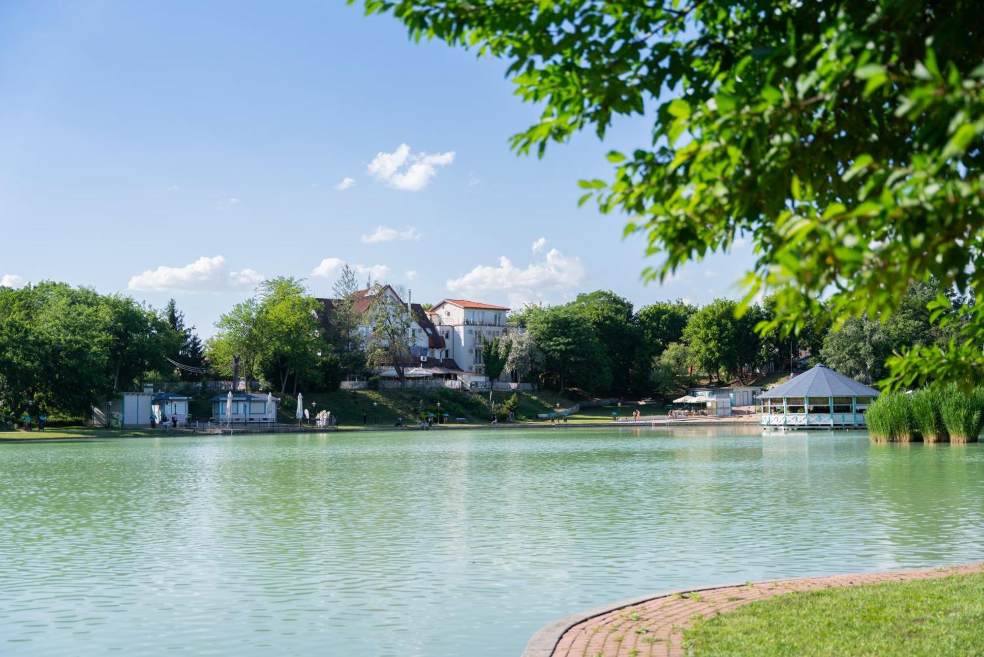 Bagoly Fogado Hotel Gyömrő Buitenkant foto